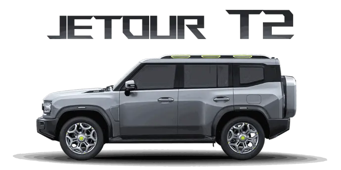 T2
